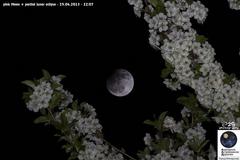 thursday's 'pink moon' was actually kinda pink [photos]